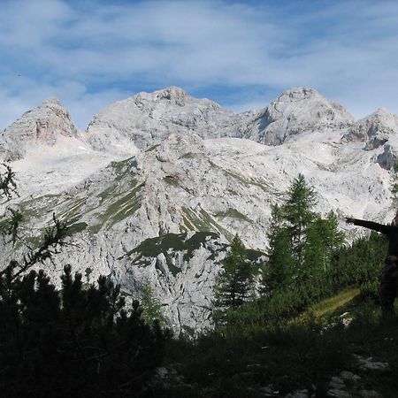 Apartmaji Rabic Bohinj Bagian luar foto