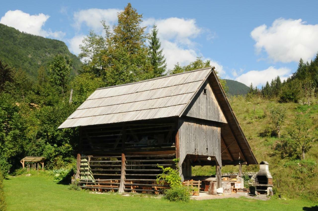 Apartmaji Rabic Bohinj Bagian luar foto